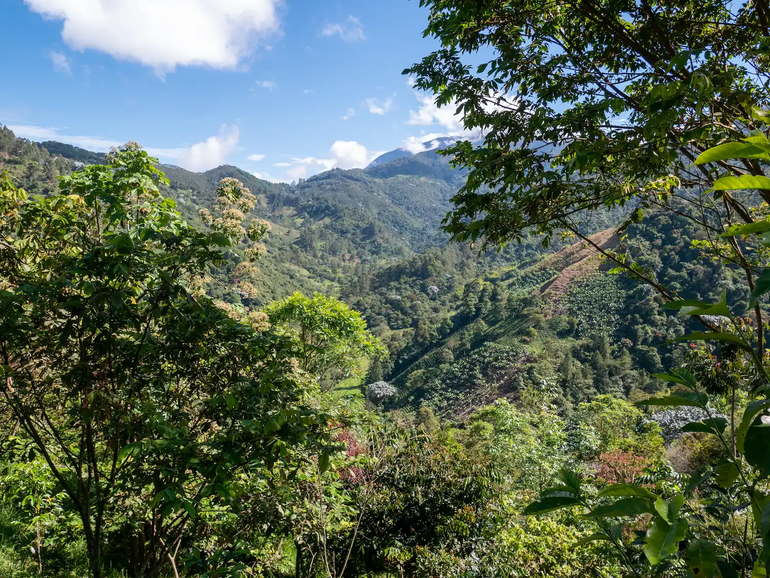 nature-reserve-anima-la-vida